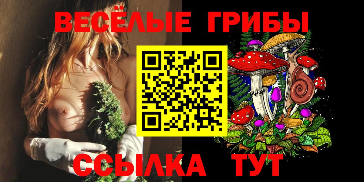 Псилоцибиновые грибы GOLDEN TEACHER  Галлюциногенные грибы прущие грибы  Вход с VPN  Дивногорск 
